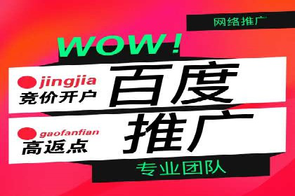 某某SEM团队成功提升网站流量与转化率的实战经验